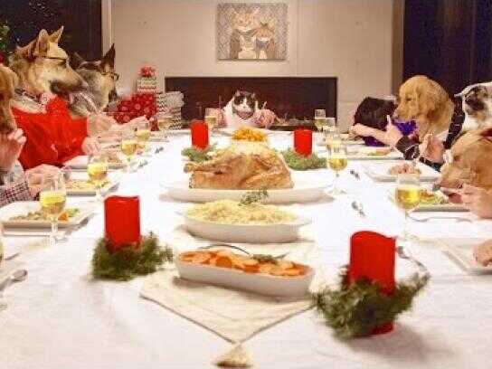 Holiday feast