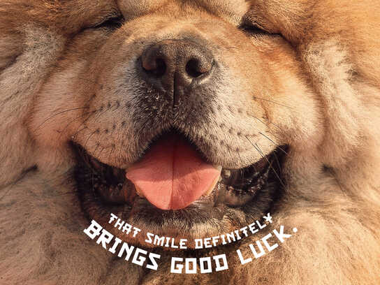 Good Luck Smile