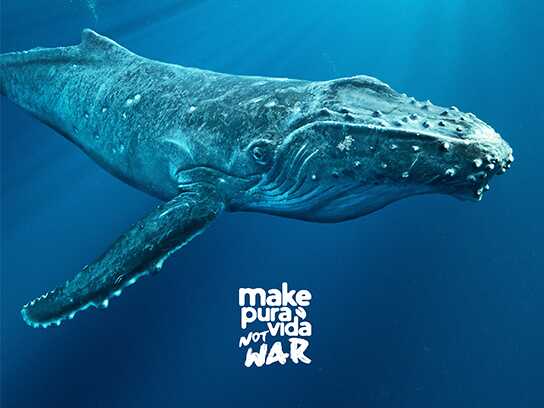 Make Pura Vida. Not War