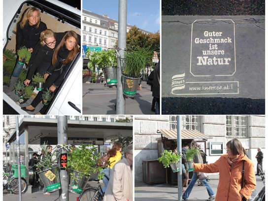 Knorr Guerilla Gardening