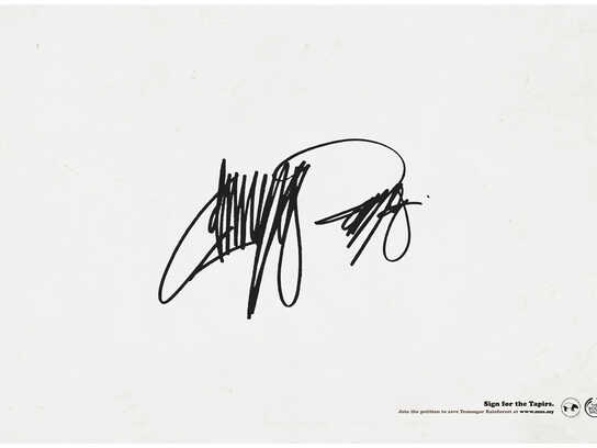 Tapir, Rhino, Hornbill