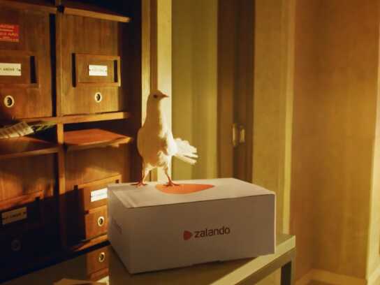 Zalando: Free to Be