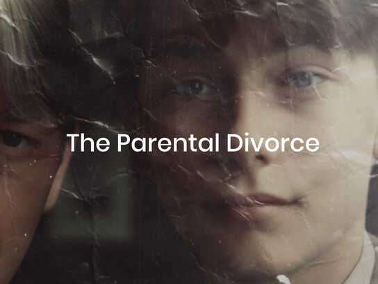 The Parental Divorce 