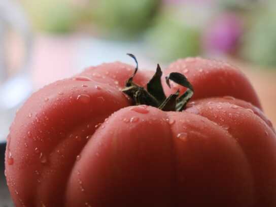  As natural as your salad.