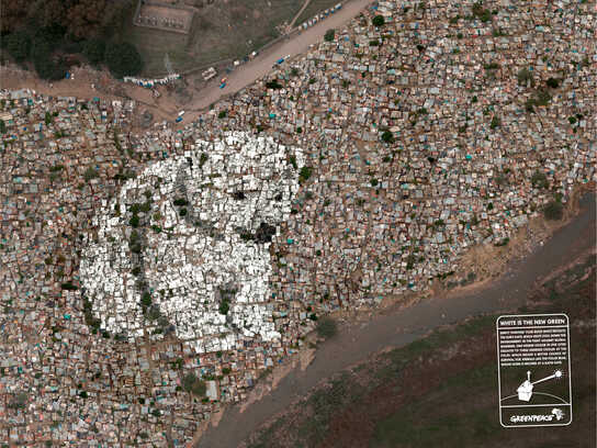 White Roofs, Polar Bear, White Roofs, Arctic Fox, White R...