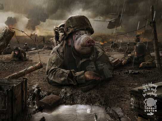 Soldiers Pigs, Tao Pig