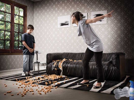 Sofa, Flower pot, Shoes