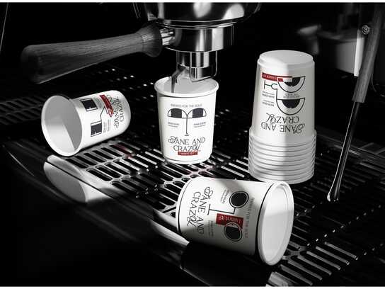 Sane and Crazy | Branding