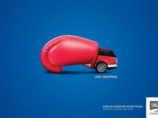 Adventure Seeker, Corporate Executive