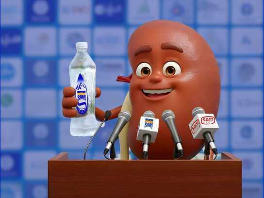 The Sodium You Don’t See