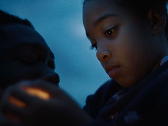 Carry The Fire: Fireflies Image