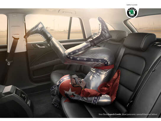 Human Cannonball, Skydiver, Climber, Cleaner