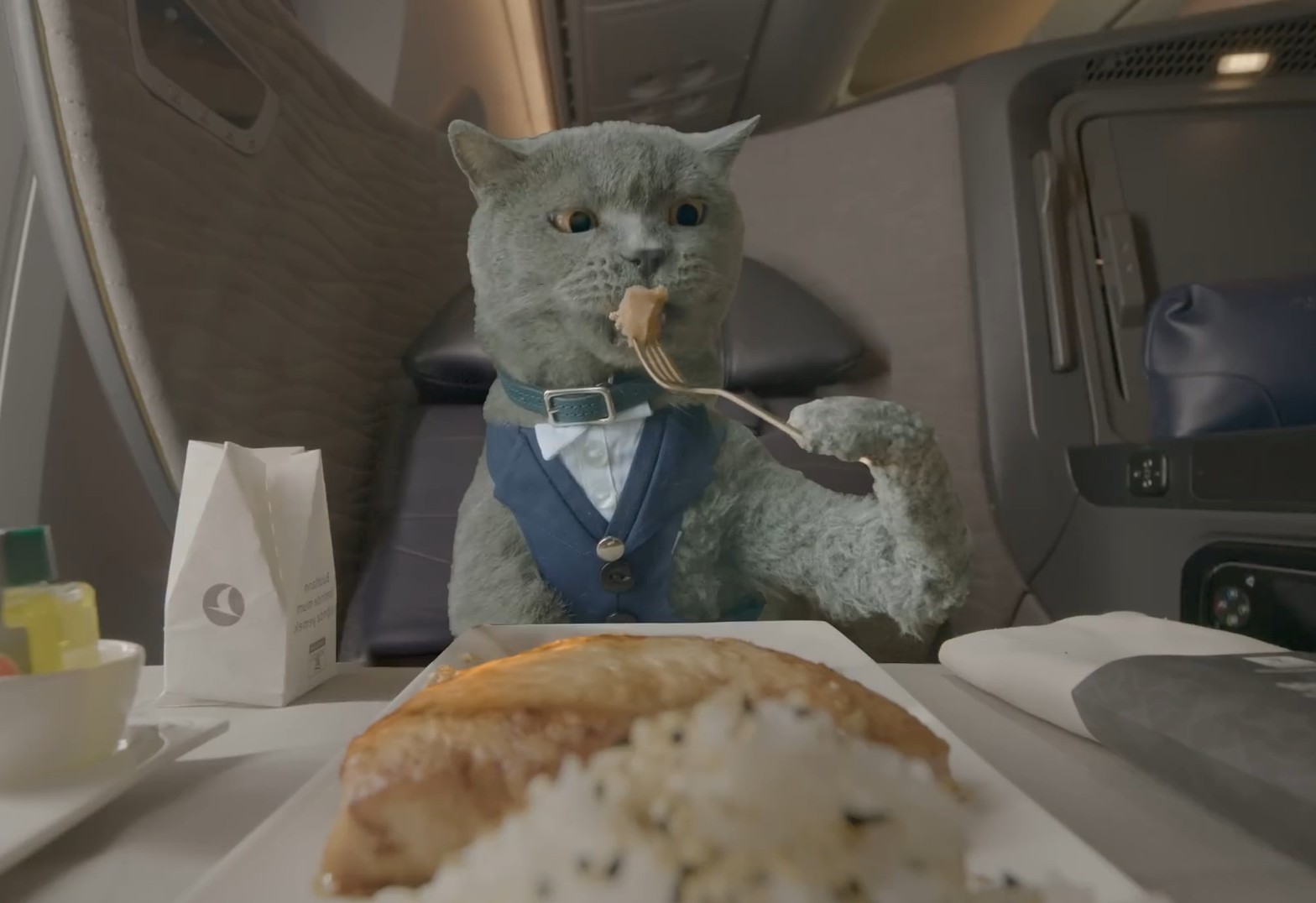  Flying with Your Pet Image