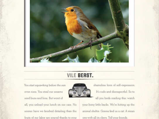 Vile beast, Shopping cart, Car wash