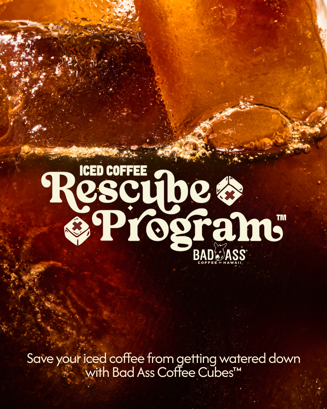 Iced Coffee Rescube Program Image