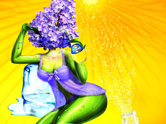 Lilac, Octopus, Palm tree, Cactus, Hibiscus, Bear, Deer, ...