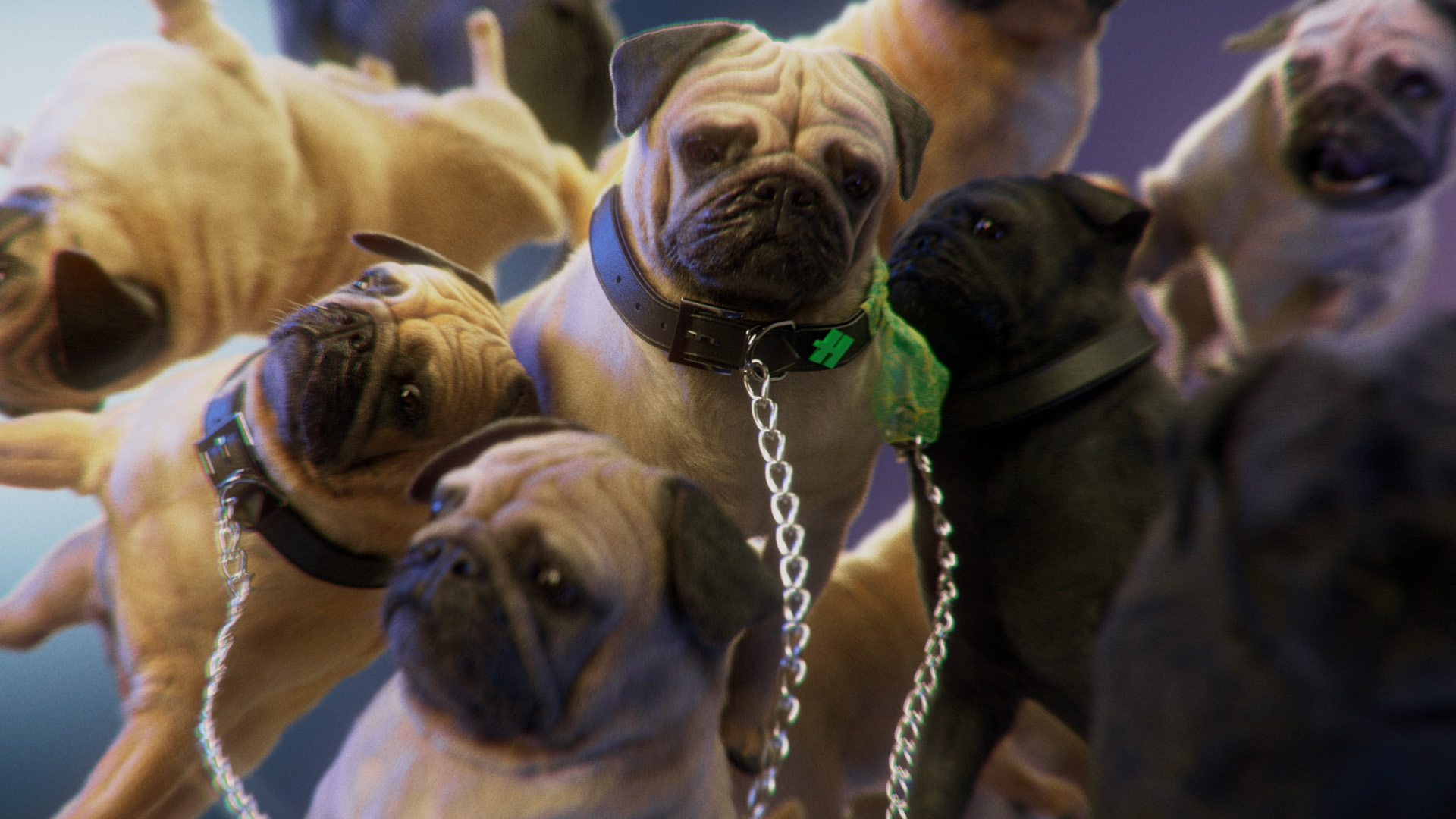Dog Lover Image