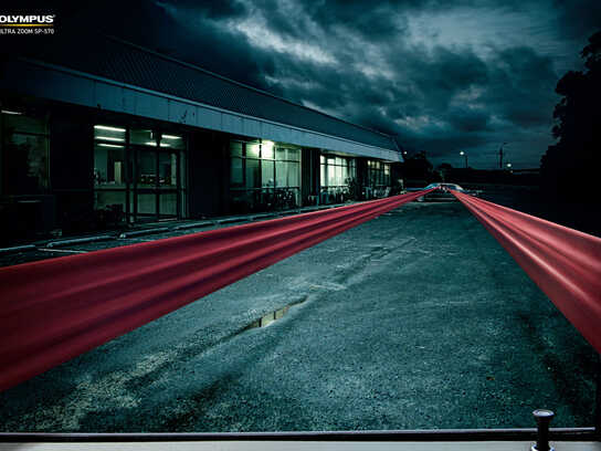 Couple, Elephant, Girl