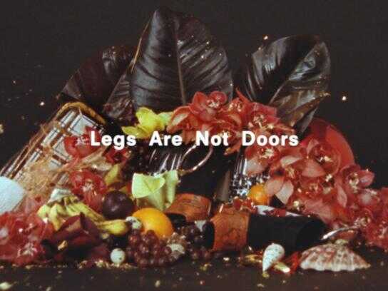 Legs are not doors