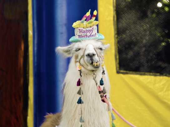 Bring Home More Good