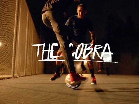 The Cobra, The Glitch, The Flick Flick, The Beast Chip