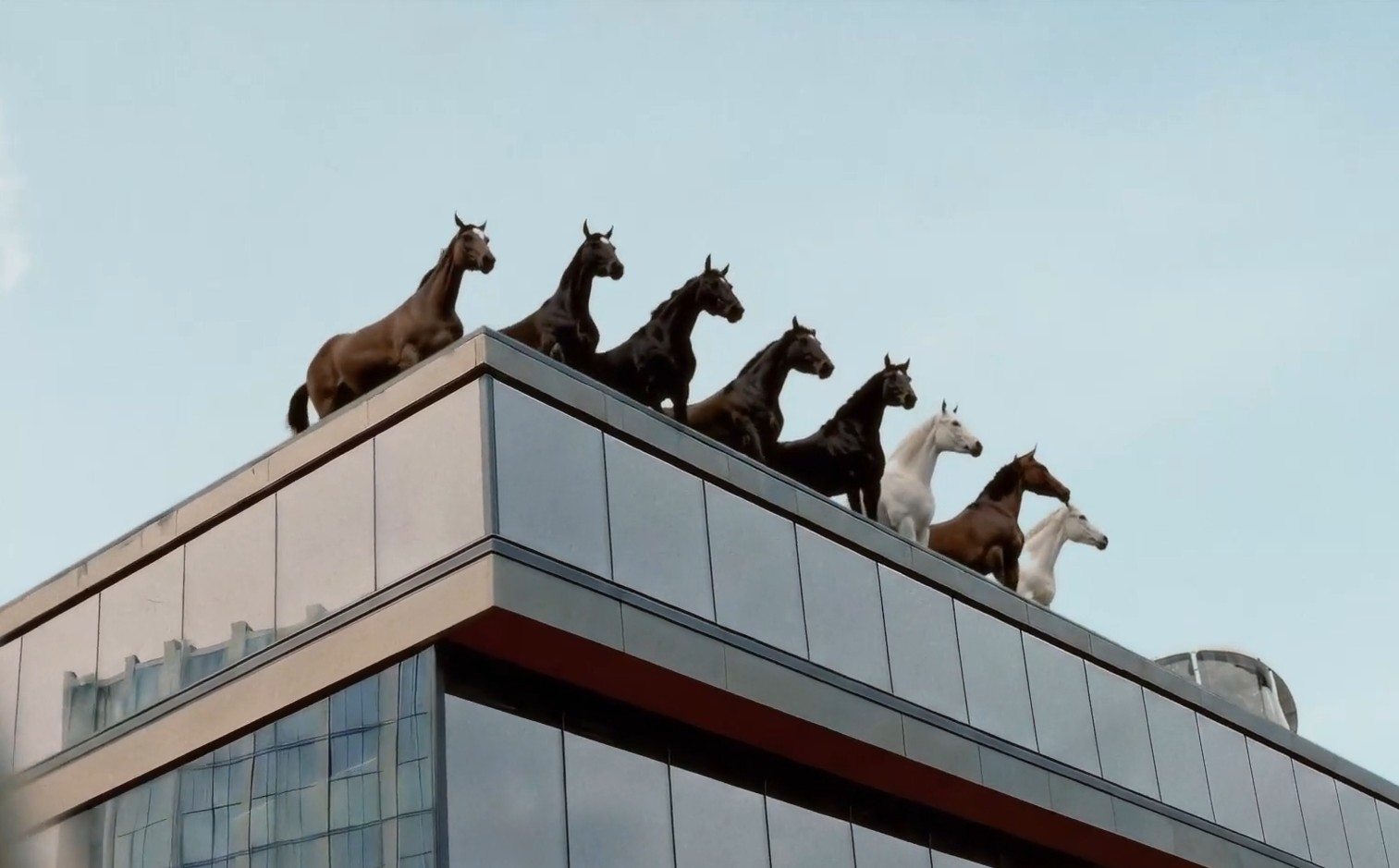 The Horses Are Calling Image